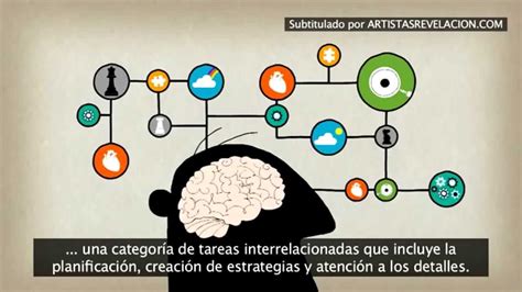 El Cerebro De Los Músicos Youtube