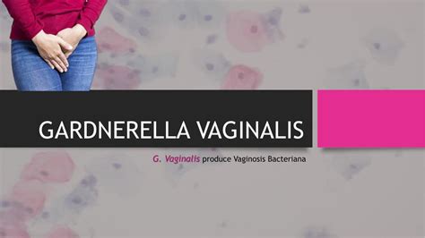 Gardnerella Vaginalis Mónica Arias Udocz