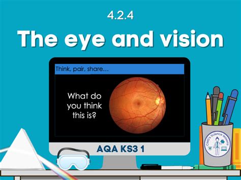 The Eye And Vision Lesson Bundle Teaching Resources