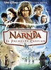 The Chronicles of Narnia: Prince Caspian (2008) - Posters — The Movie ...