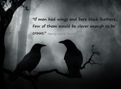 Crow Facts Crow Animal Spirit Guides