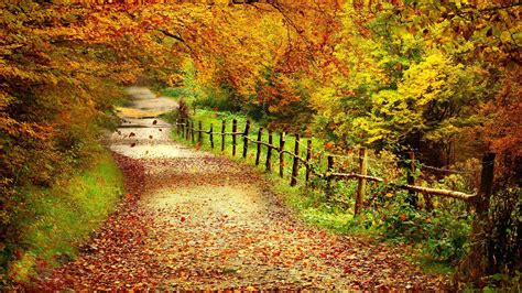 Fall Landscape Wallpaper Desktop Danasrgftop Autumn