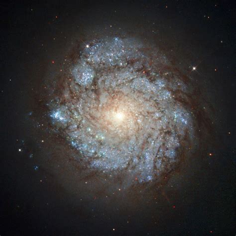 Hubble Space Telescope Captures Image Of Ngc 278 Scinews