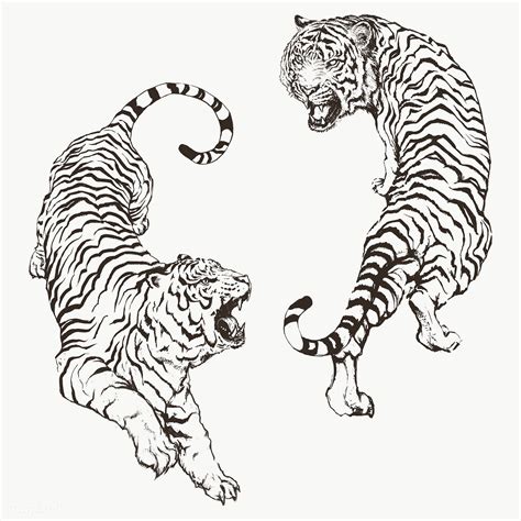 Hand Drawn Roaring Yin Yang Tigers Overlay Premium Image By Rawpixel