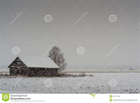 Heavy Snowfall On The Fields Stock Photo Image Of Black Beauty 54771160