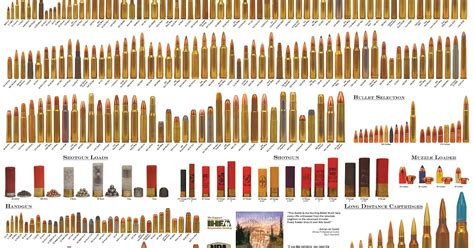 Ammo And Gun Collector Standard Cartridges