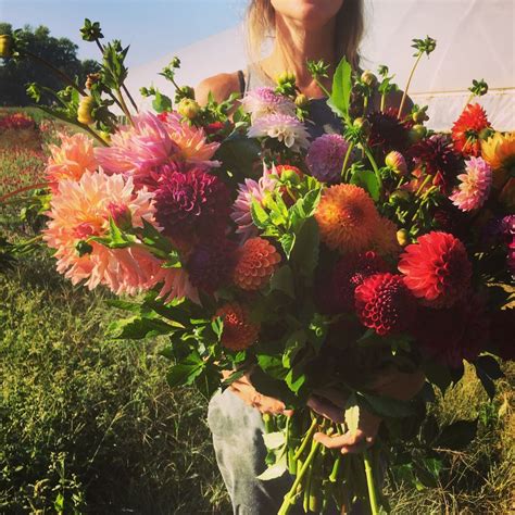 Bmaker's bulk flower kit includes four different varieties of dried flowers each variety of flower in this kit has its own special benefits and fragrances, so you can try them buy the selected items together. http://www.redfirefarm.com/wp-content/uploads/2018/01/IMG ...