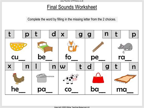Final Sounds Worksheet English Reception