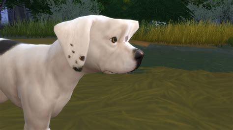 Please check the expansion pack requirements to see which game pack it recolours. Mod The Sims - Sims 4 Cat and Dogs Glitch Deformed Pets