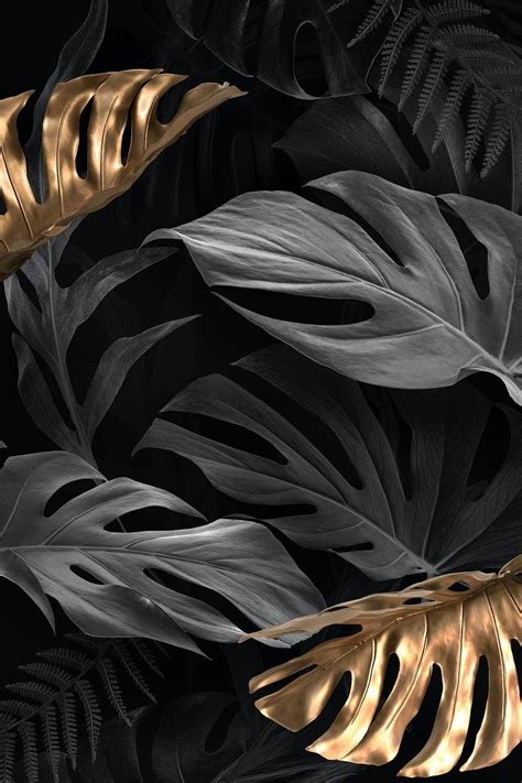 Gold And Black Monstera Deliciosa Leaves Premium Image By Rawpixel