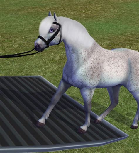 𝔸 𝕟𝕖𝕨 𝕤𝕥𝕒𝕣𝕥 ⎛1𝕪𝕖𝕒𝕣 𝕥𝕚𝕞𝕖 𝕤𝕜𝕚𝕡⎞ Star Stable Online Amino