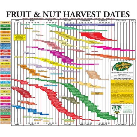 Fruit Tree Harvest Chart In 2022 Fruit Trees Trees To Plant Plant