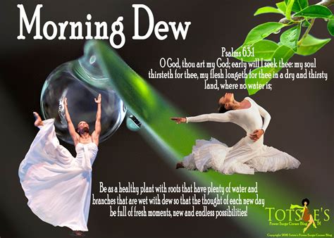 Morning Dew 2100×1500 Morning Dew Word Of God Healthy Plants