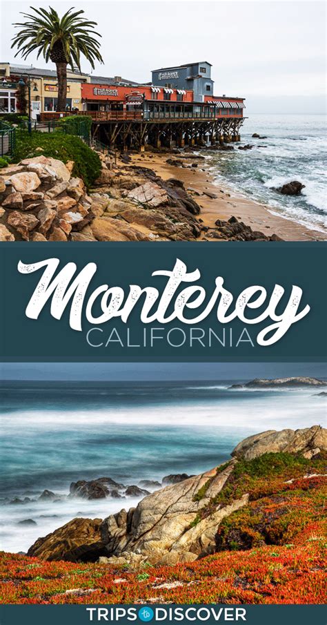 Top 8 Things To Do In Monterey California Trips To Discover