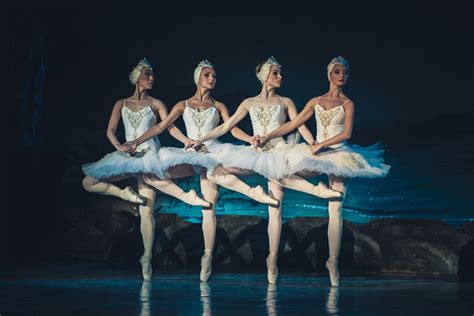 Start your search now and free your phone. Swan Lake (Hermitage Theatre, ballet) - 11 June 2021 at 19:30 - Buy Tickets Online ...