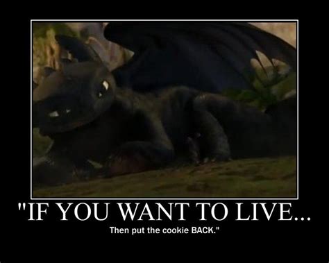 Pin On How To Train Your Dragon
