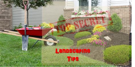 Check Out These Tips And Tricks Secret Landscaper Tips And Tricks These