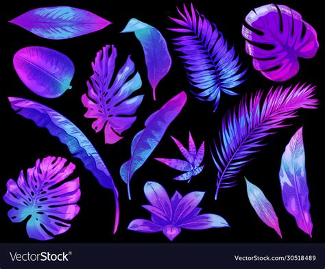 Neon Tropical Leaves Color Exotic Tree And Plant Vector Image