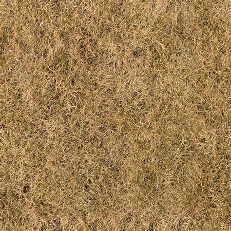 Grassdead0042 Free Background Texture Grass Dead Dry