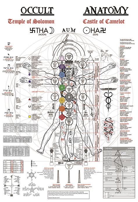The Occult Anatomy Print Kabbalah Alchemy Tree Of Life Golden Dawn
