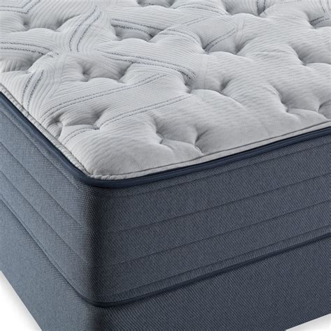 By natalie yerger may 11, 2021. Olney Plush Twin Mattress | Mattresses | WG&R Furniture