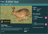 BBC A Wild Year Series — Wild Cherry Media