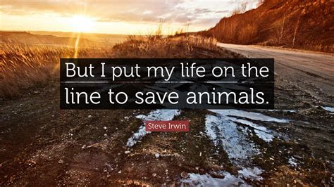 Steve Irwin Quote But I Put My Life On The Line To Save Animals