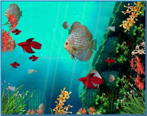🔥 50 Animated Goldfish Wallpaper And Screensaver Wallpapersafari