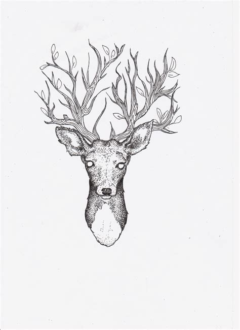 Deer Drawing Tumblr Wallpapers Gallery