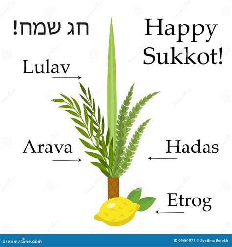 Happy Sukkot Traditional Symbols Four Species Etrog Lulav Willow And