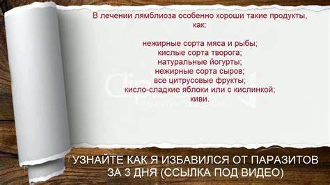 Диета 5 лямблиоз Лямблиоз Диета При Лечении У Взрослых Меню — Похудение Диета Правильное Лямблиоз Диета При Лечении У Взрослых Меню — Похудение Диета Правильное Диета 5 лямблиоз