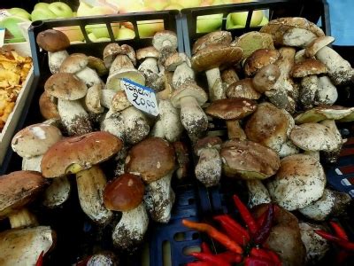 Oven Porcini Mushrooms - Delicious Italy