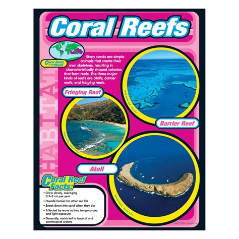 Coral Reefs Learning Chart Play School Room Cc
