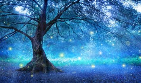 Mystical Fairy Tree Blue Enchanted Forest Kids Wall Mural Photo Wallpaper