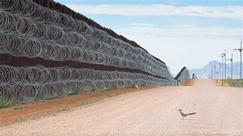 Image Of Bird At Us Mexico Border Wall Wins Contest Bbc News