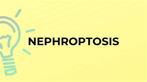 What Is The Meaning Of The Word Nephroptosis Youtube