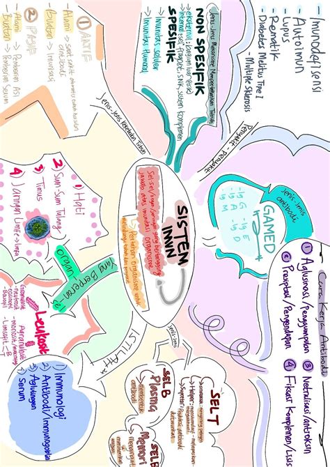 Peta konsep sistem imun | Sistem imun, Panduan belajar, Pendidikan