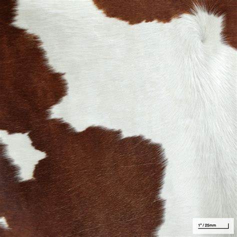 Brown And White Cowhide Doublebutter