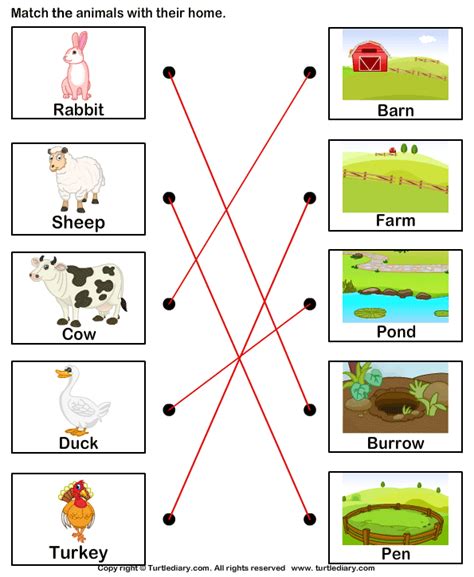 See ppt and download pdf file. Homes of Farm Animals Worksheet - Turtle Diary