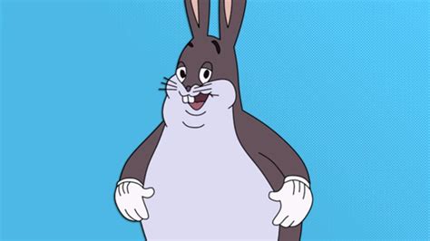 Multiversus May Add Big Chungus Based On New Trademarks Game News 24