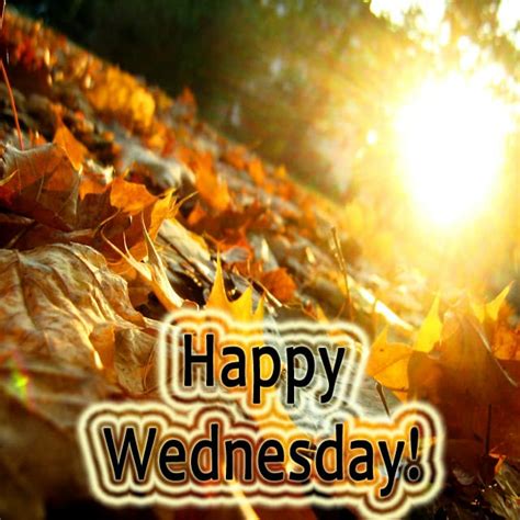 Happy Wednesday Hd Images Wallpaper Pictures Photos