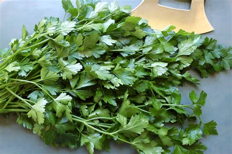 How To Keep Fresh Basil And Parsley In Your Kitchen Year Round