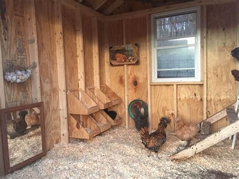 10 Free 8×8 Chicken Coop Plans You Can Diy This Weekend Diy Chicken