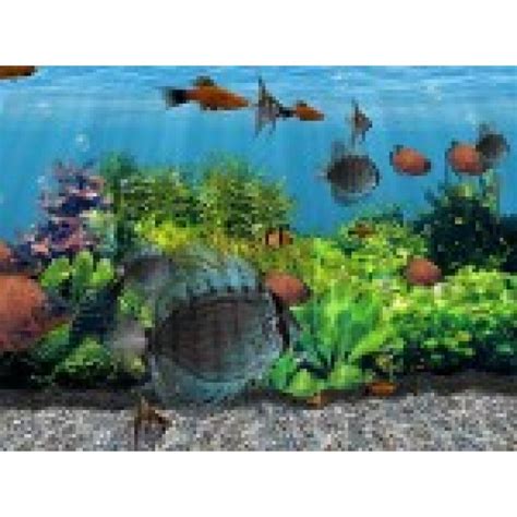 3d Fish School Screensaver Swcz