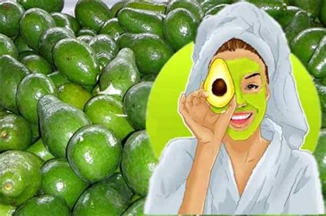 Maybe you would like to learn more about one of these? Manfaat dan Khasiat Buah Alpukat - Lentera Sehat