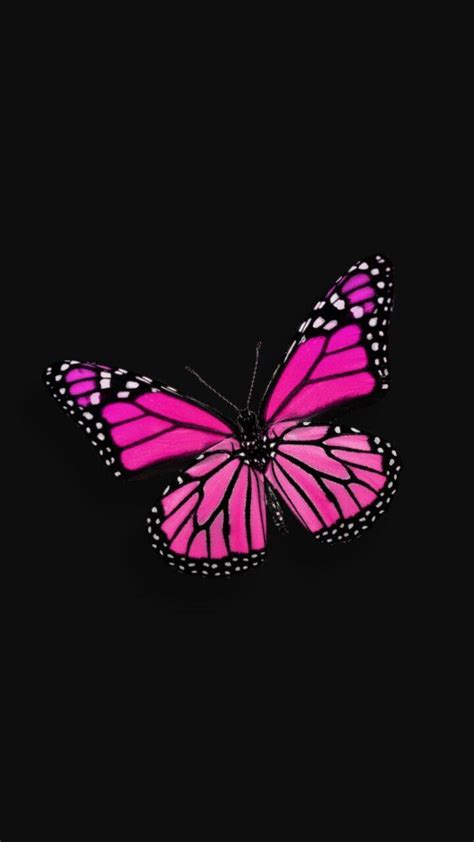 Black And Pink Butterfly Wallpapers Bigbeamng