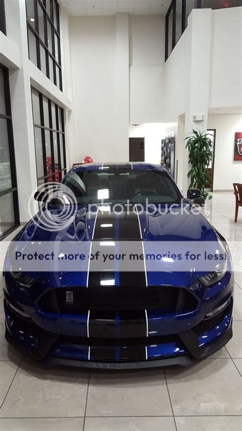 Just In 2016 Shelby Gt350 Deep Impact Blue Wicked S197 Mustang
