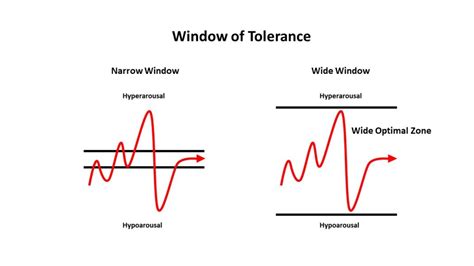 Emotion Regulation 101 Your Window Of Tolerance