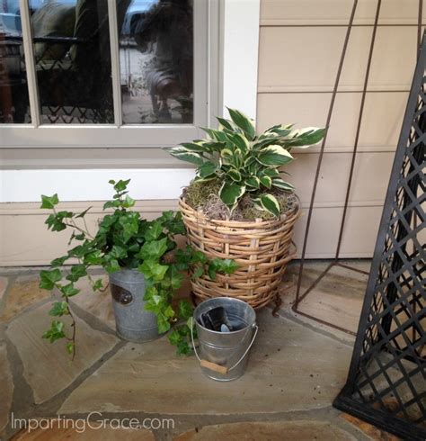 Imparting Grace Best Plants For A Shady Porch