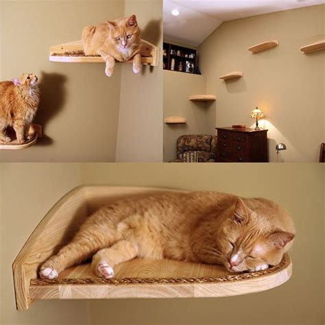 Its also pretty for your home decor too. Mountain Cat Climbers 25% Off | Diy cat tree, Cat climber ...